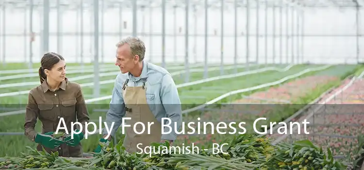 Apply For Business Grant Squamish - BC